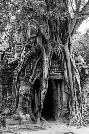 Josh Manring Photographer Decor Wall Art -  cambodia-3.jpg